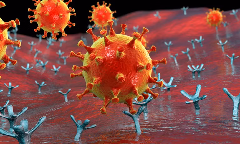 Một người có thể mắc Covid-19 bao nhiêu lần?