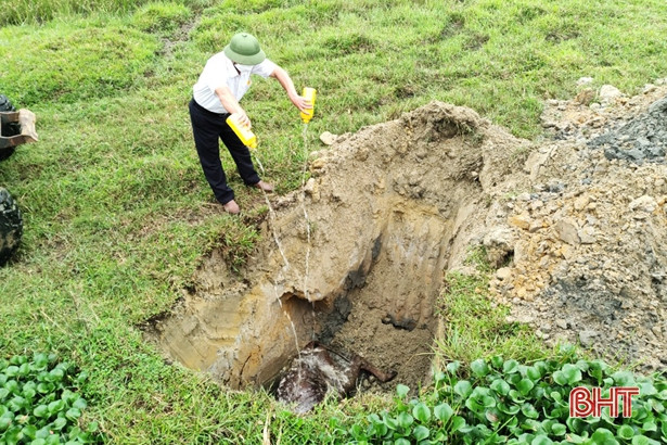 Vận chuyển bò chết từ Hồng Lĩnh đến Lộc Hà để giết mổ