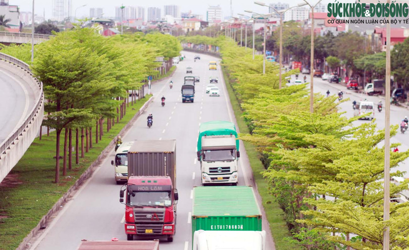 Bàng lá nhỏ “thay áo”, đường phố Hà Nội đẹp nao lòng
