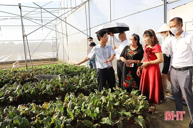 Thành phố Hà Tĩnh “tăng tốc” phát triển kinh tế - xã hội