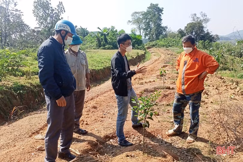 Vũ Quang xây dựng 5 mô hình sản xuất nông nghiệp hữu cơ đầu tiên trên địa bàn