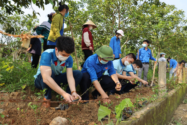 Tuổi trẻ VietinBank Hà Tĩnh ra quân hưởng ứng “Ngày chủ nhật xanh”