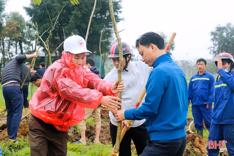 Trồng mới 350 cây bằng lăng tím tại công viên trung tâm TP Hà Tĩnh