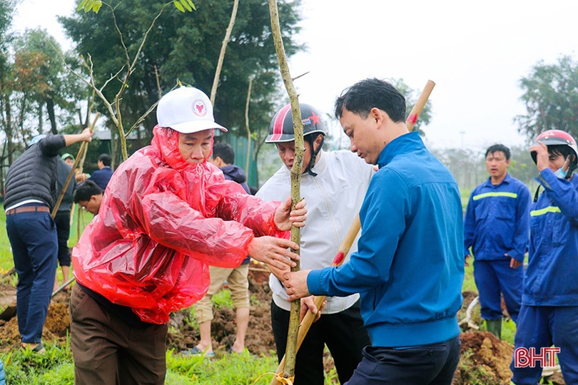 Trồng mới 350 cây bằng lăng tím tại công viên trung tâm TP Hà Tĩnh