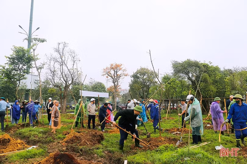 Trồng mới 350 cây bằng lăng tím tại công viên trung tâm TP Hà Tĩnh