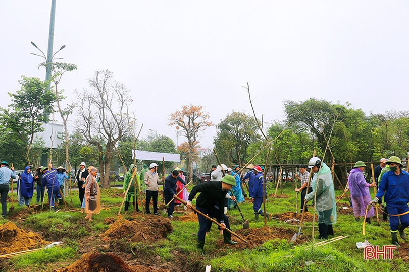 Trồng mới 350 cây bằng lăng tím tại công viên trung tâm TP Hà Tĩnh