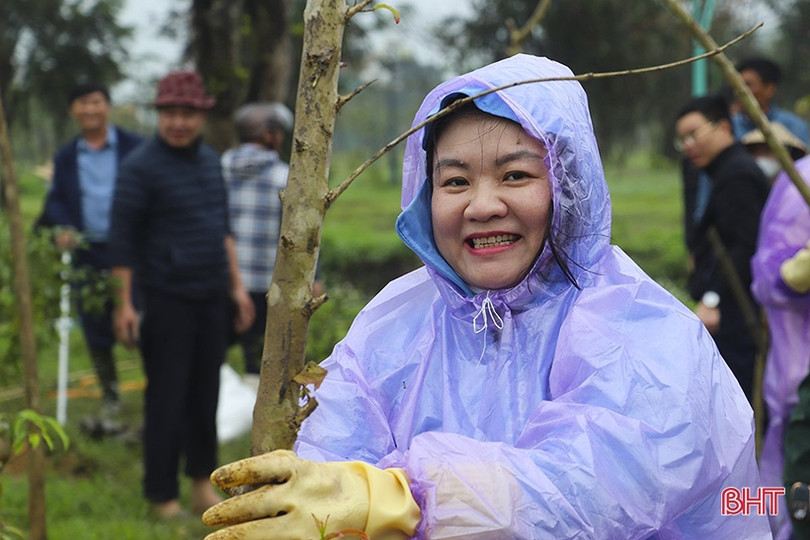 Trồng mới 350 cây bằng lăng tím tại công viên trung tâm TP Hà Tĩnh