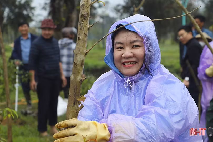 Trồng mới 350 cây bằng lăng tím tại công viên trung tâm TP Hà Tĩnh