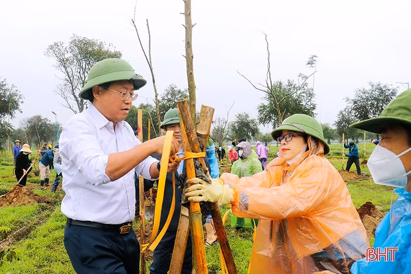 Trồng mới 350 cây bằng lăng tím tại công viên trung tâm TP Hà Tĩnh