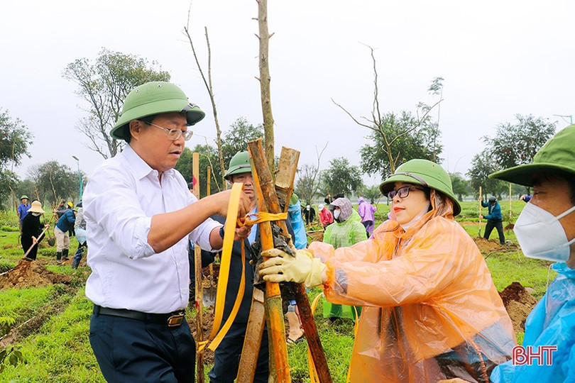 Trồng mới 350 cây bằng lăng tím tại công viên trung tâm TP Hà Tĩnh