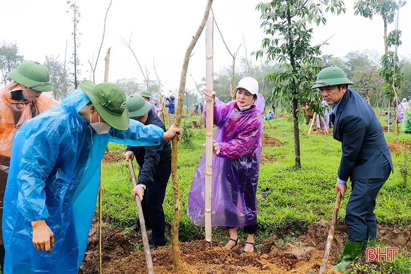 Trồng mới 350 cây bằng lăng tím tại công viên trung tâm TP Hà Tĩnh