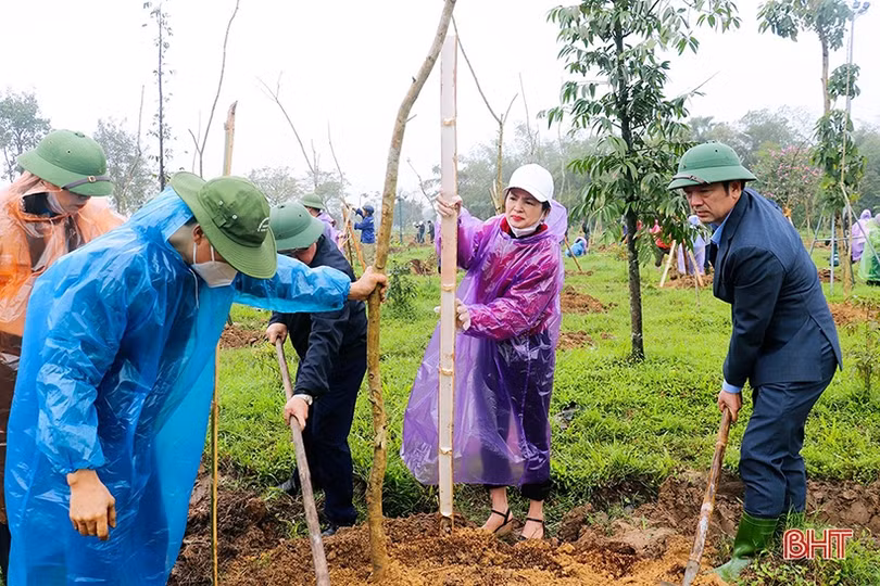Trồng mới 350 cây bằng lăng tím tại công viên trung tâm TP Hà Tĩnh