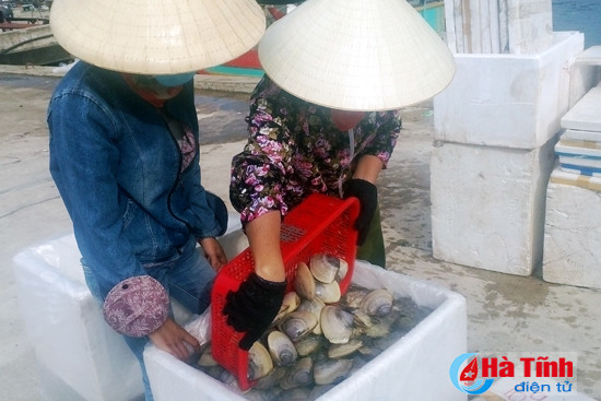 ngu dan thach bang duoc mua hai san xuat khau