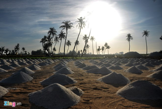 ngam mat troi ruc ro tren dao ly son