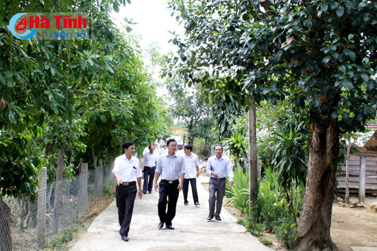 thanh cong cua ha tinh la kinh nghiem quy de quang nam hoc tap