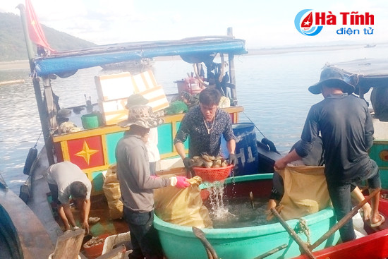 ngu dan thach bang duoc mua hai san xuat khau