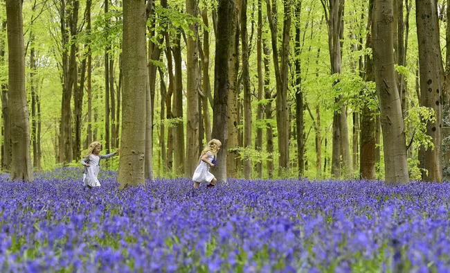 15 buc anh ve hanh phuc gian don khien ban them yeu cuoc doi