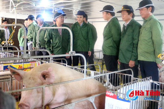 thanh cong cua ha tinh la kinh nghiem quy de quang nam hoc tap