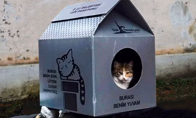 15 buc anh ve hanh phuc gian don khien ban them yeu cuoc doi