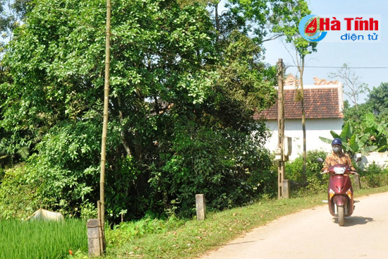 dung thu dong cho du an trong dau tu tieu chi dien