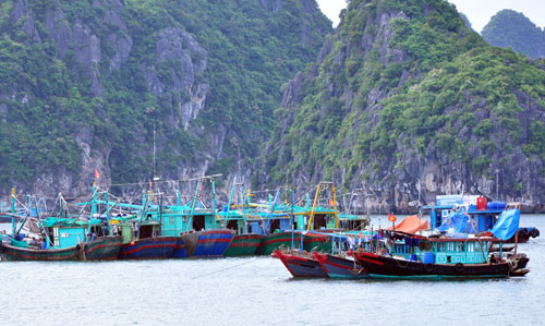 bao tien sat dat lien dia phuong gap rut ung pho