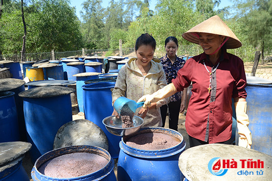 ha tinh phat trien kinh te tap the do phu nu lam chu