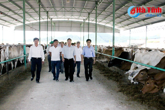 thanh cong cua ha tinh la kinh nghiem quy de quang nam hoc tap