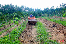 Trường Lưu đồng lòng vào cuộc giảm nghèo bền vững