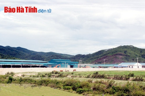 Sơn Lễ chú trọng quy hoạch, phát triển sản xuất ảnh 1