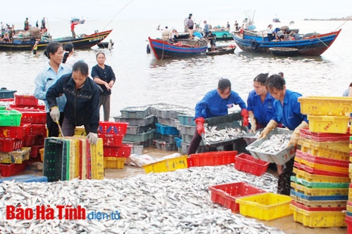 Trục xoay kinh tế biển ảnh 1