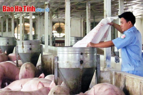 Sức trẻ giữa đại ngàn... ảnh 2