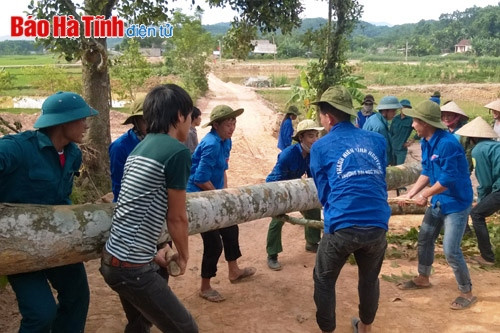 Sức trẻ giữa đại ngàn... ảnh 1