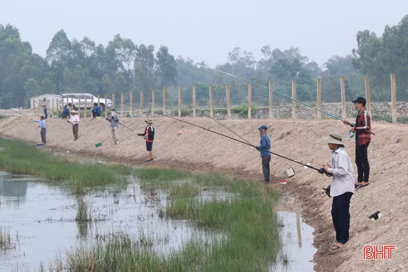 Gần 40 cần thủ Hà Tĩnh so tài câu cá lóc bằng bát cuốn tay 