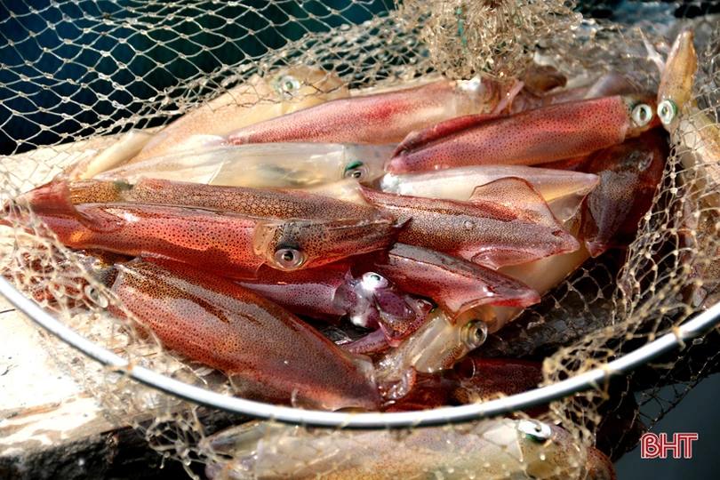 Nhiều du khách ngoại tỉnh chọn Hà Tĩnh làm điểm đến dịp lễ 30/4 - 1/5