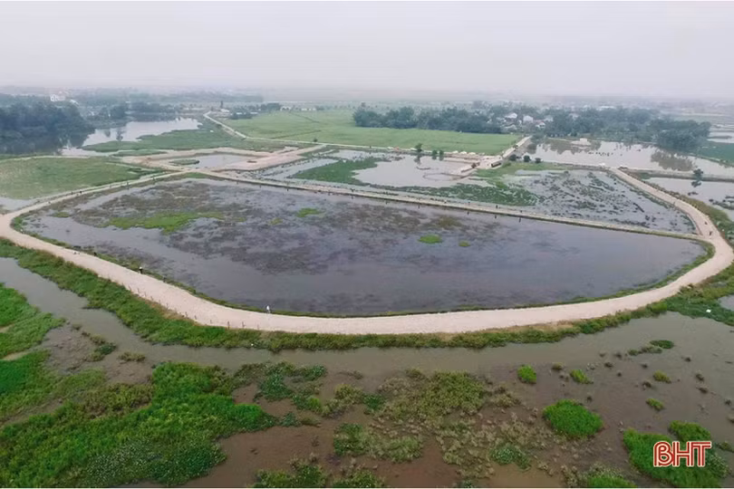 Gần 40 cần thủ Hà Tĩnh so tài câu cá lóc bằng bát cuốn tay 