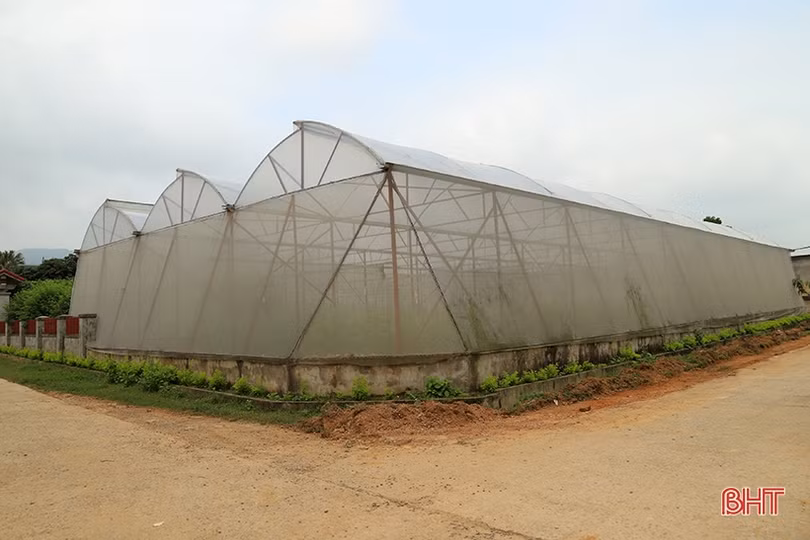 2 năm, người dân Hà Tĩnh “hấp thụ” gần 500 tỷ đồng chính sách hỗ trợ xây dựng nông thôn mới