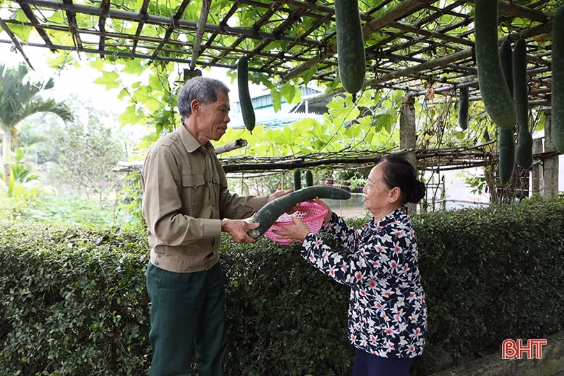 Cuộc gặp gỡ xúc động của hai cha con người lính Hà Tĩnh trên chiến trường Quảng Trị