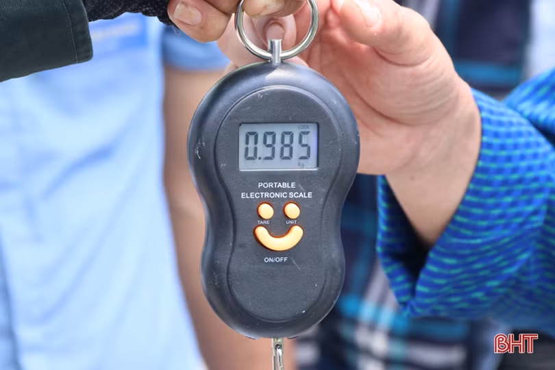 Gần 40 cần thủ Hà Tĩnh so tài câu cá lóc bằng bát cuốn tay 