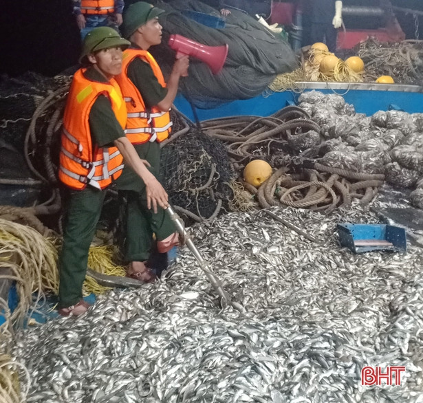 Bắt giữ 2 tàu cá ngoại tỉnh dùng giã cào đánh bắt sai vùng biển quy định