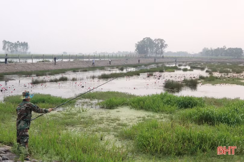 Gần 40 cần thủ Hà Tĩnh so tài câu cá lóc bằng bát cuốn tay 