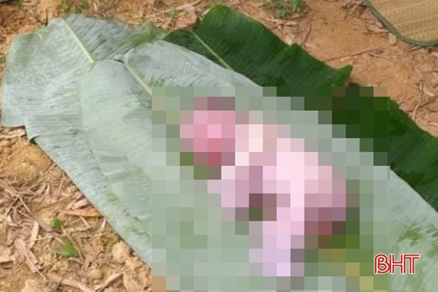 Phát hiện thi thể bé trai sơ sinh trôi dạt trên sông Ngàn Sâu