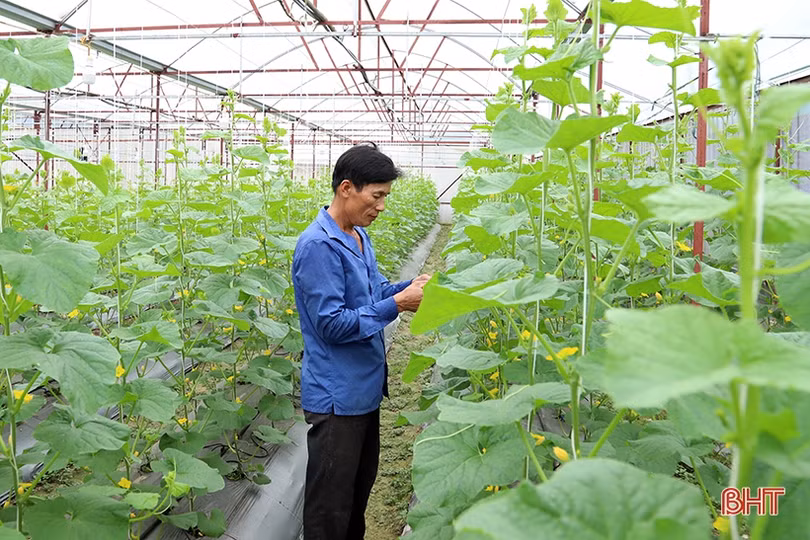 2 năm, người dân Hà Tĩnh “hấp thụ” gần 500 tỷ đồng chính sách hỗ trợ xây dựng nông thôn mới