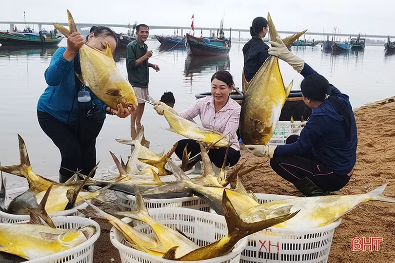 Quê hương Tổng Bí thư Hà Huy Tập bừng sáng từ ý Đảng, lòng dân