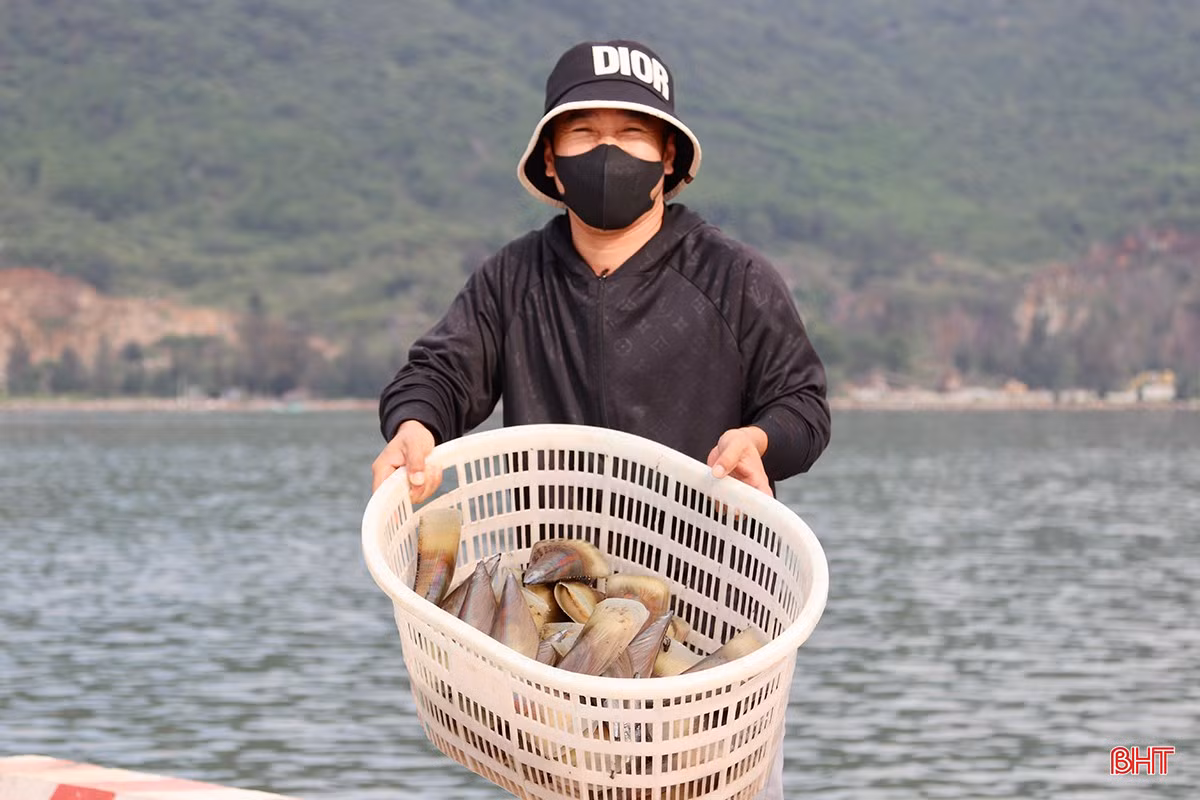 Nguồn hải sản tươi ngon góp phần tạo ra nguồn cung dồi dào cho thị trường.