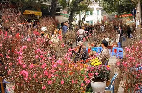 Chính phủ đồng ý nghỉ Tết 9 ngày ảnh 1