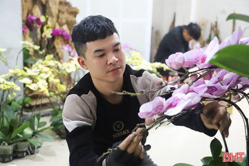 Thợ cắm hoa lan tất bật dịp Tết, thu tiền triệu mỗi ngày