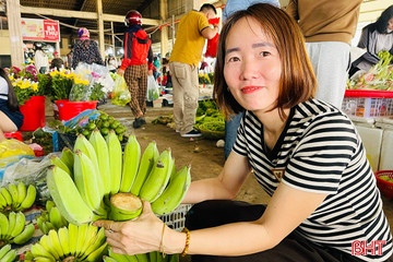 Chuối xanh ngày Tết: Loại đẹp giá 600-700 nghìn đồng vẫn "cháy hàng"
