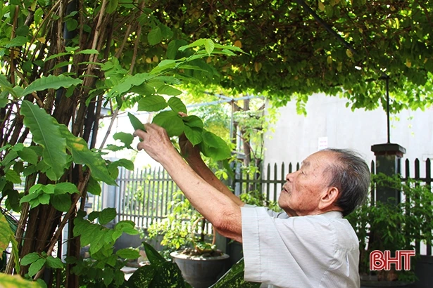 Tháng Tám trong ký ức cán bộ tiền khởi nghĩa