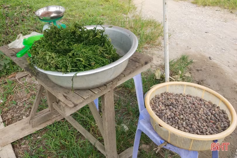 Mưu sinh bên lề đường: Giận mà thương!