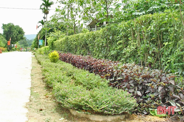 62 km hàng rào xanh, đường hoa làm đẹp xóm làng Hương Sơn